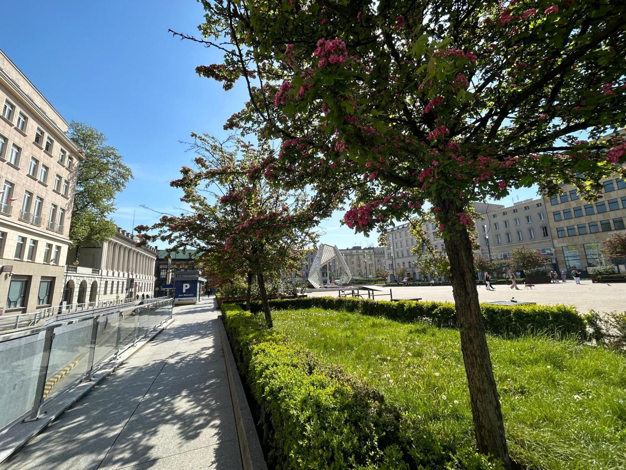 Apartamenty Pl. Wolnosci 6 Poznań Exteriör bild